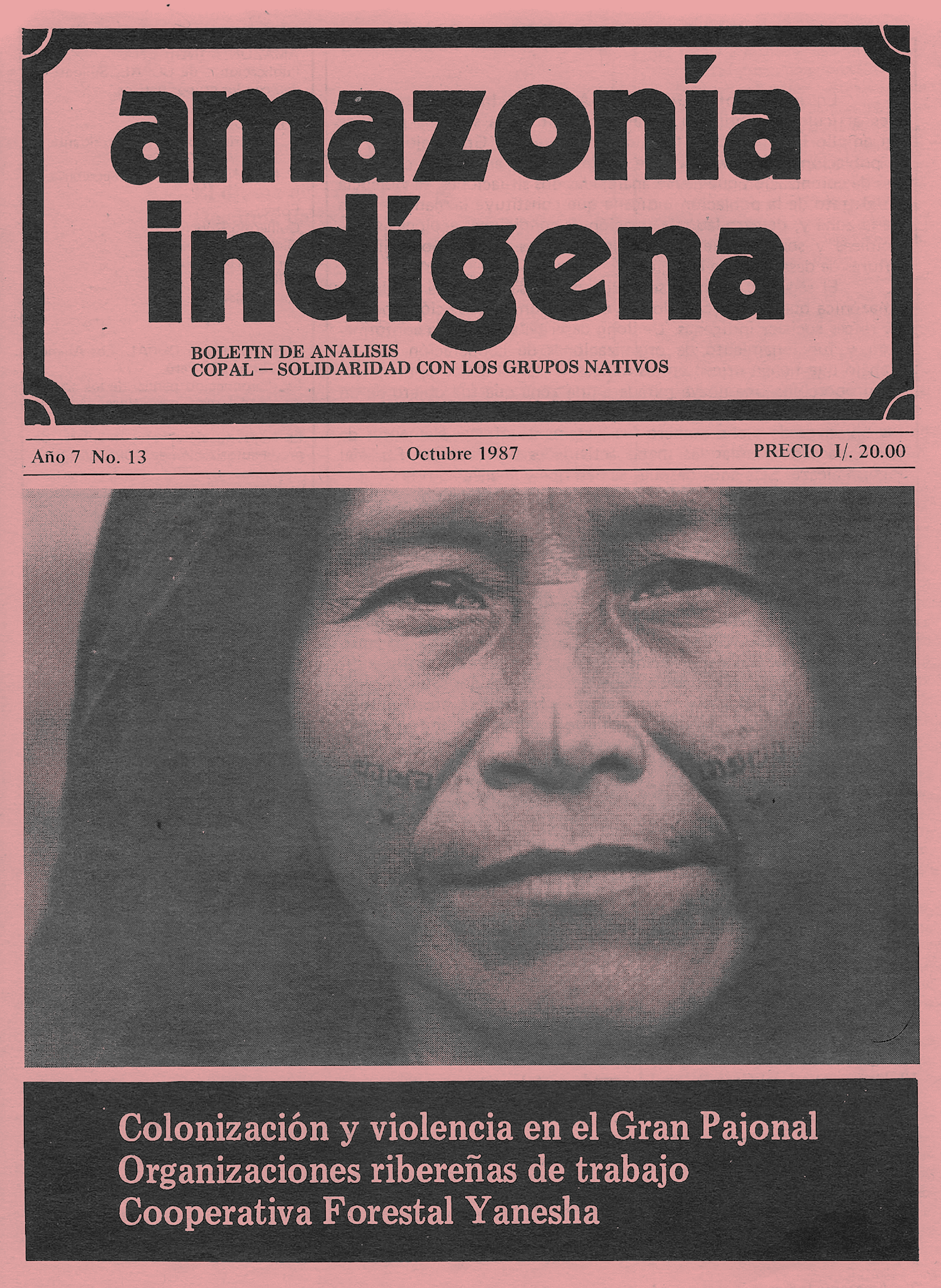 Amazonía Indígena No. 13