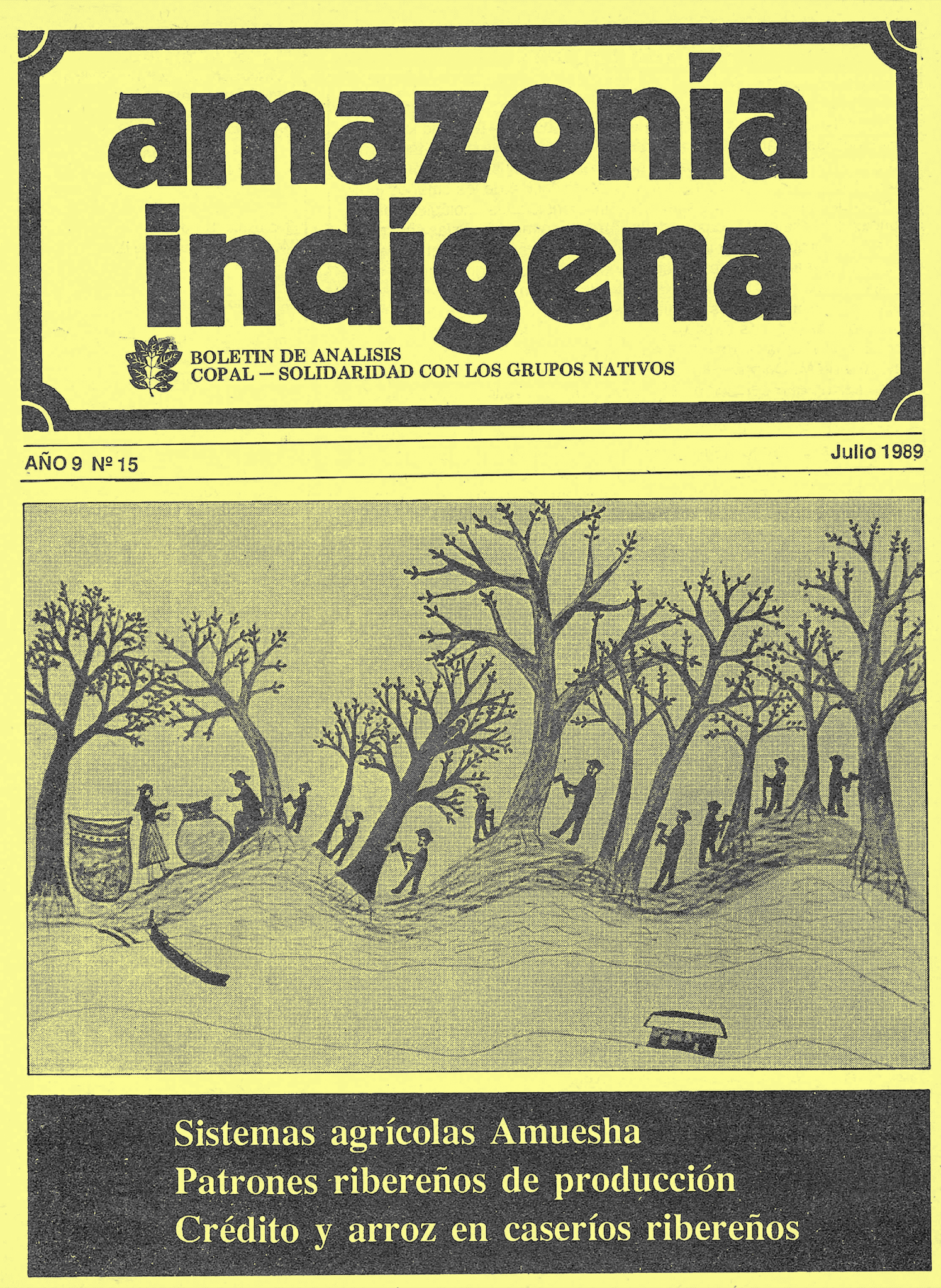 Amazonía Indígena No. 15