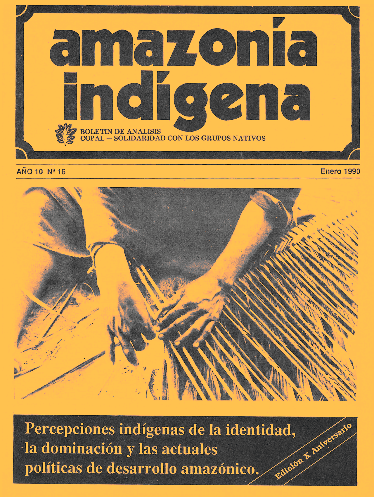 Amazonía Indígena No. 16